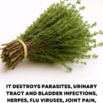 🥓 The Secret to the Crunchiest, Crispiest, and Tastiest Bacon Ever