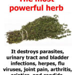 Magic Tomato Salad: The explosion of flavor in your mouth