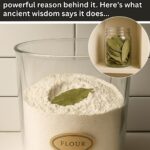 Why Does Meat Sometimes Look Rainbow-Colored?