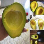 Few know the treasure that this plant is, you must prepare it with…