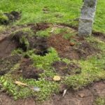 Why You Should Always Unplug This Kitchen Appliance at Night