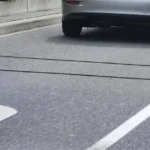 How to Grow Rosemary That Thrives for Years – 9 Proven Tips for Success