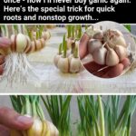 Why Putting A Ball Of Tinfoil In Your Dishwasher Is A Good Idea