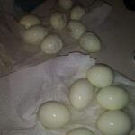 What It Really Means When Someone Helps the Server Clear the Table, According to Psychologists