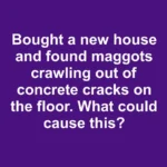 Here’s How to Perk Up a Sad Peace Lily When Winter Heat Dries It Out