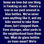 J’ai enfin appris à utiliser correctement le bac à lessive — et ça a complètement changé ma façon de faire la lessive.