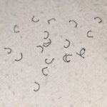 What Is That Weird Toothed Part on Kitchen Scissors For?