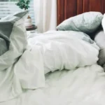 What Are These Weird Seeds in Your Bed? The Answer Will Surprise You!
