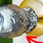 The Direction Your Ceiling Fan Should Spin Depending On The Season