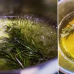 How to Make Oregano Oil and What It’s Commonly Used For