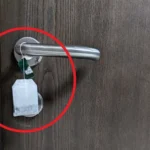 Things You Absolutely Should Not Put in a Dishwasher