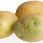 Roulé feuilleté au saumon fumé, fromage frais citronné et ciboulette