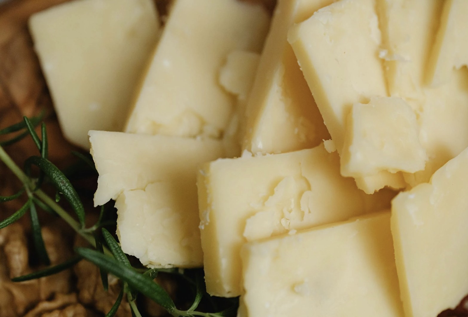 cheese